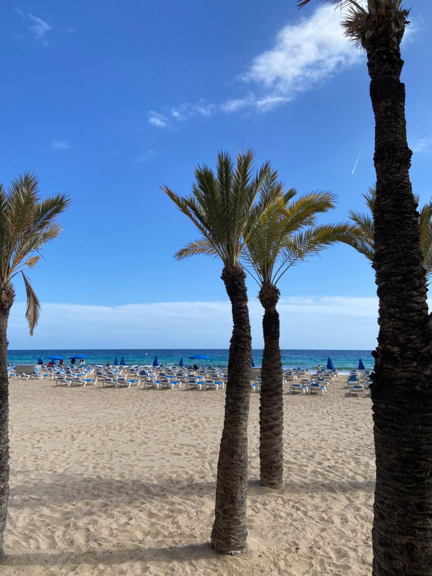 Levante Carlos V 1B Benidorm Eksteriør bilde